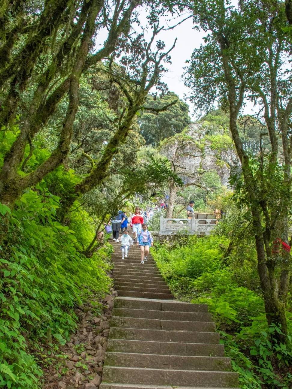 原创 行旅云南大理鸡足山，登高祈愿，遇见靓丽的冬日绝色！13