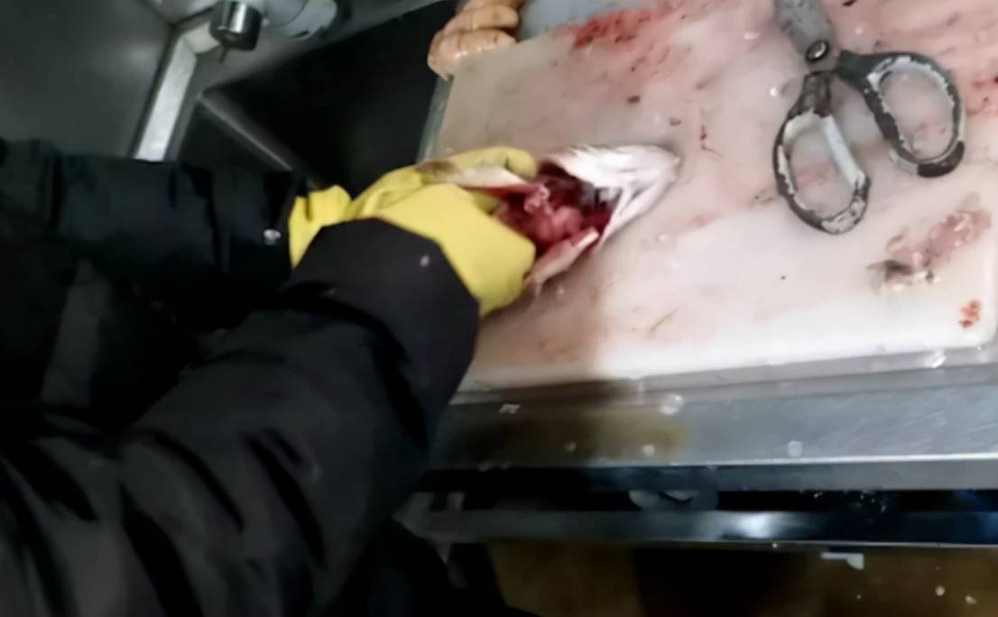 死鱼当成活鱼卖,消费者惨遭短信轰炸式营销,叮咚买菜因何变味?4