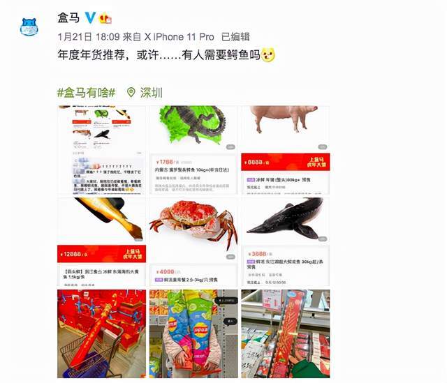 地栽多肉植物有哪些讲究?能否直接用园土1