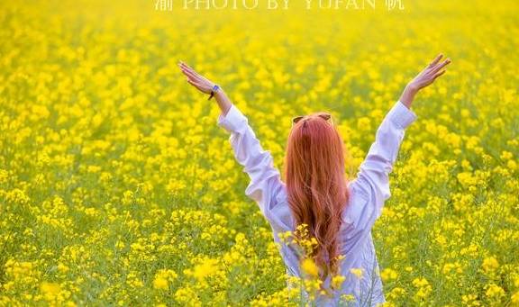 重庆小伙不远千里到罗平赏油菜花,既震撼也遗憾,明年还想再来1