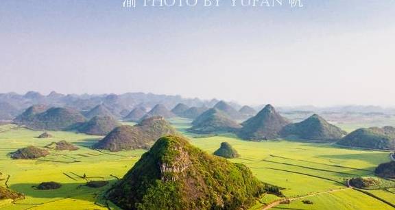 重庆小伙不远千里到罗平赏油菜花,既震撼也遗憾,明年还想再来2