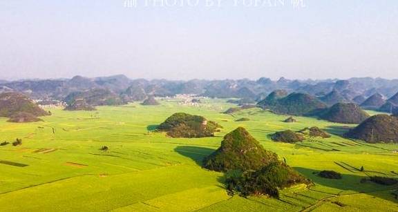 重庆小伙不远千里到罗平赏油菜花,既震撼也遗憾,明年还想再来5