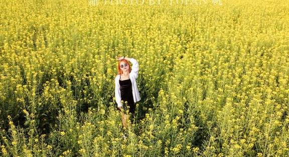 重庆小伙不远千里到罗平赏油菜花,既震撼也遗憾,明年还想再来8