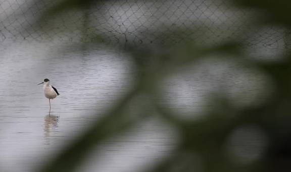 单人独驾穿越一万八千公里海岸线 边缘《循翼｜万里海疆》3