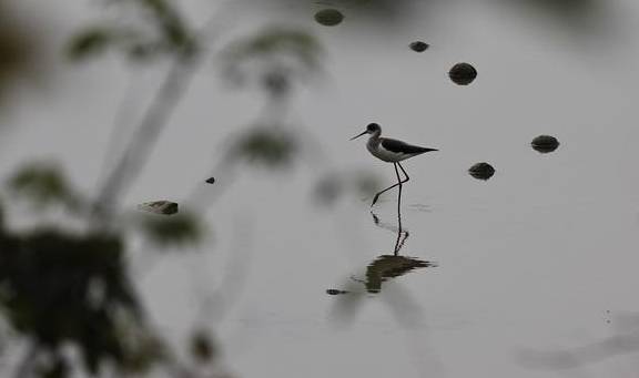单人独驾穿越一万八千公里海岸线 边缘《循翼｜万里海疆》5