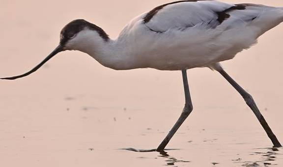 单人独驾穿越一万八千公里海岸线 边缘《循翼｜万里海疆》6