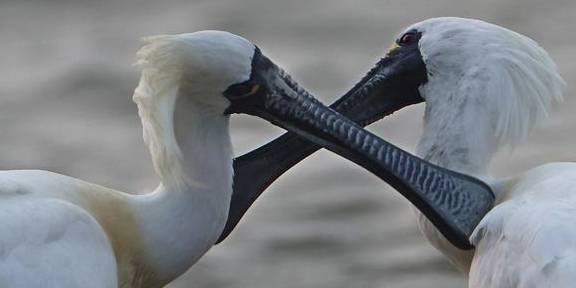 单人独驾穿越一万八千公里海岸线 边缘《循翼｜万里海疆》8