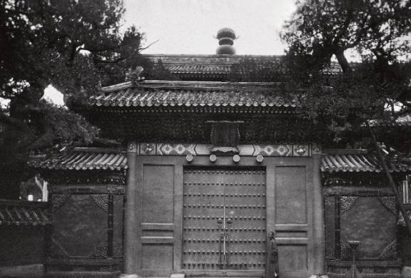 故宫御花园御景亭白皮松和承光门古柏7