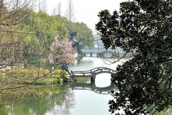 预算1000以内去杭州看樱花,但我想住在西湖边,求解16