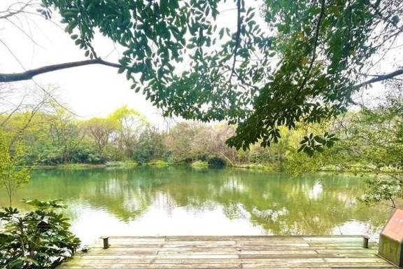 预算1000以内去杭州看樱花,但我想住在西湖边,求解18