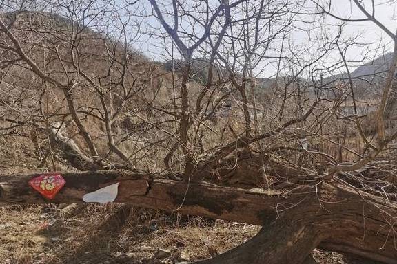 胶东游记：栖霞市“东马耳?”村，一个大山深处的小村落7