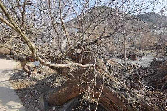 胶东游记：栖霞市“东马耳?”村，一个大山深处的小村落8