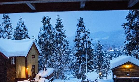 有花又有茶,道滘将新增一个旅游胜地1