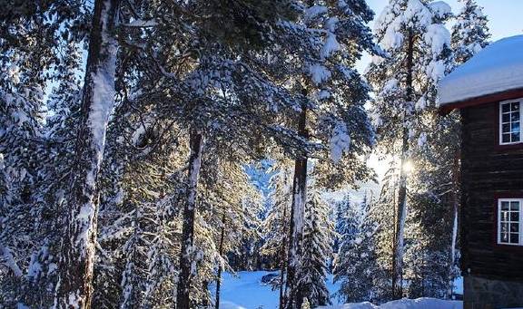 挪威海朗特尼特精品酒店，尽享窗外梦幻般的雪景天堂6