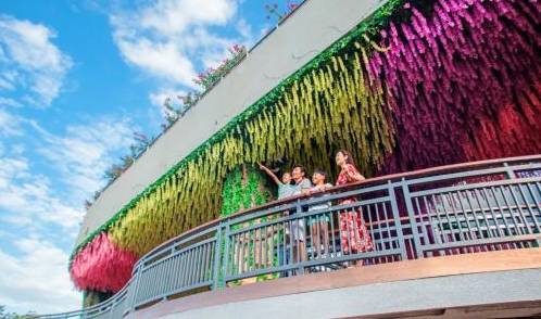 号外号外!这些明星都在海花岛,赶紧来偶遇吧10