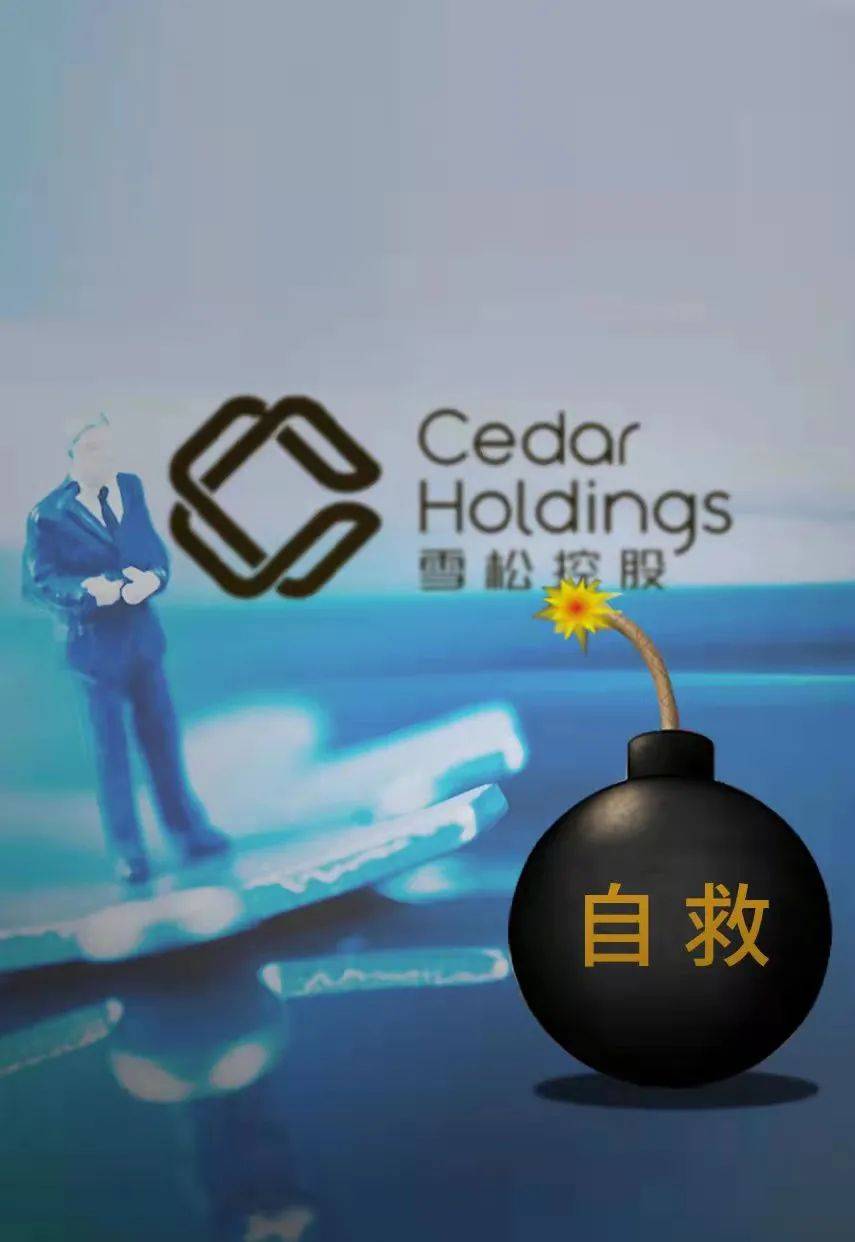 太盟投资输血雪松系,齐翔腾达曲线易主,张劲手里还剩多少底牌?1