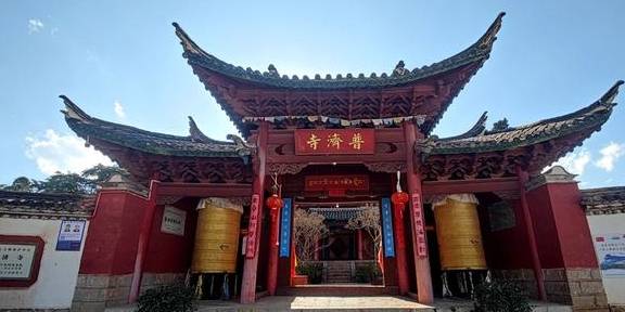 先有树再有寺 普济寺310年樱花绽放 三多节引领丽江春天2