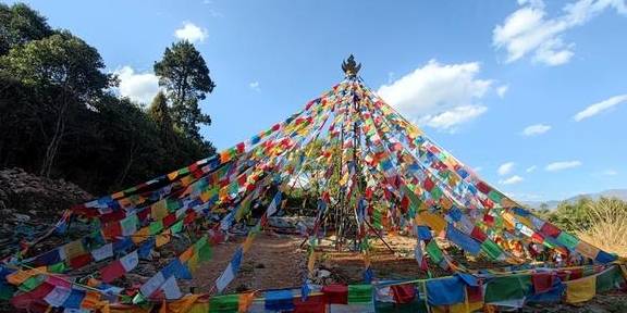 先有树再有寺 普济寺310年樱花绽放 三多节引领丽江春天5