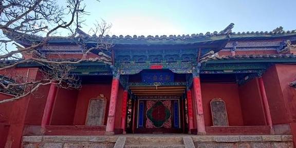 先有树再有寺 普济寺310年樱花绽放 三多节引领丽江春天8