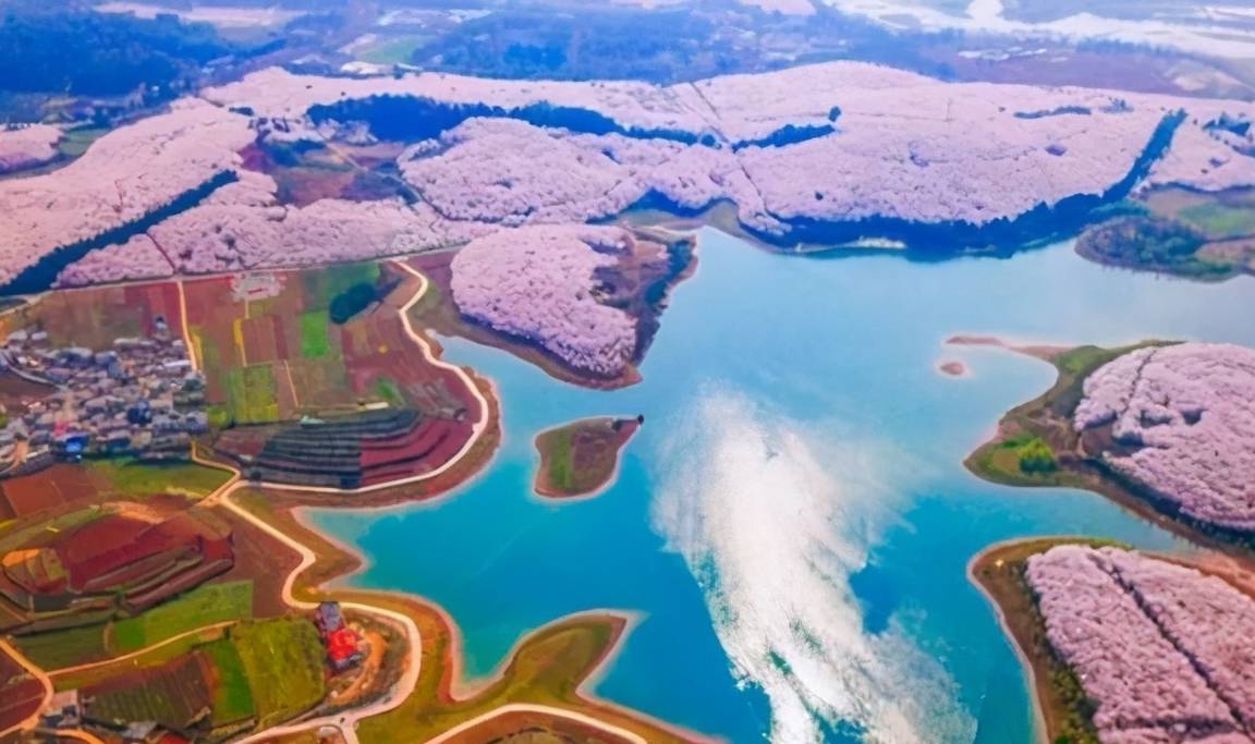 贵州一“赏花胜地”火了,占地1.3万亩为世界最大,吸引众多游客1