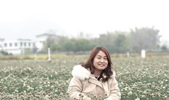 春天不只有油菜花,还有葱花,广西这个镇8万亩葱花开了12