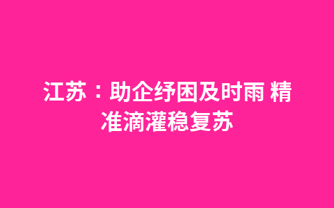 江苏:助企纾困及时雨 精准滴灌稳复苏1