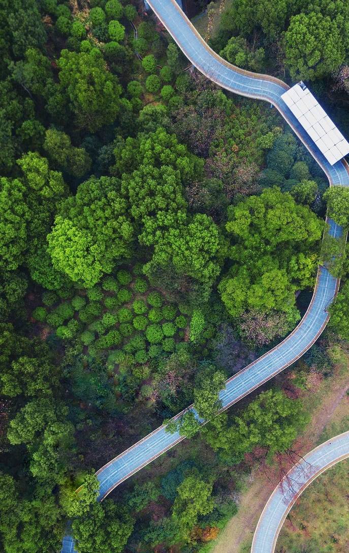 周末养生去哪？打卡南昌这座AI公园，楼空步道惊险刺激，你敢来吗3