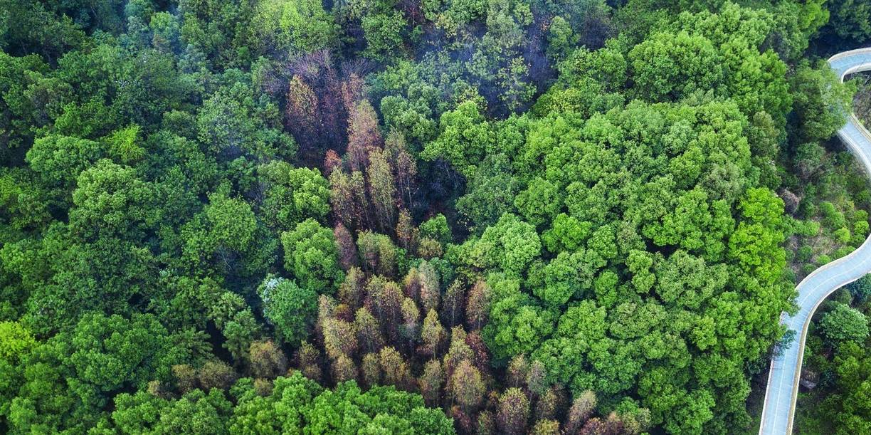 周末养生去哪？打卡南昌这座AI公园，楼空步道惊险刺激，你敢来吗4