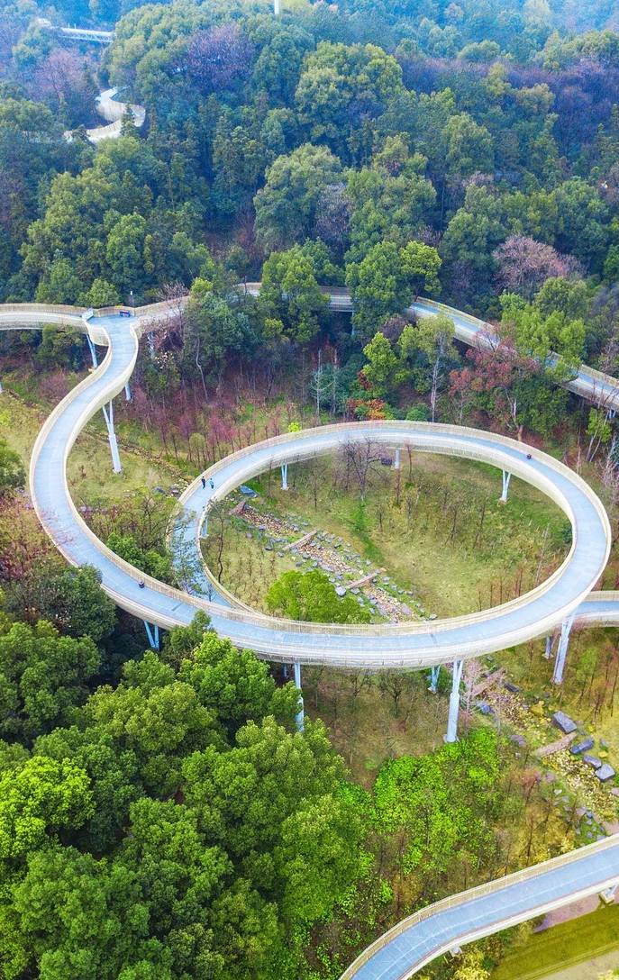 周末养生去哪？打卡南昌这座AI公园，楼空步道惊险刺激，你敢来吗10