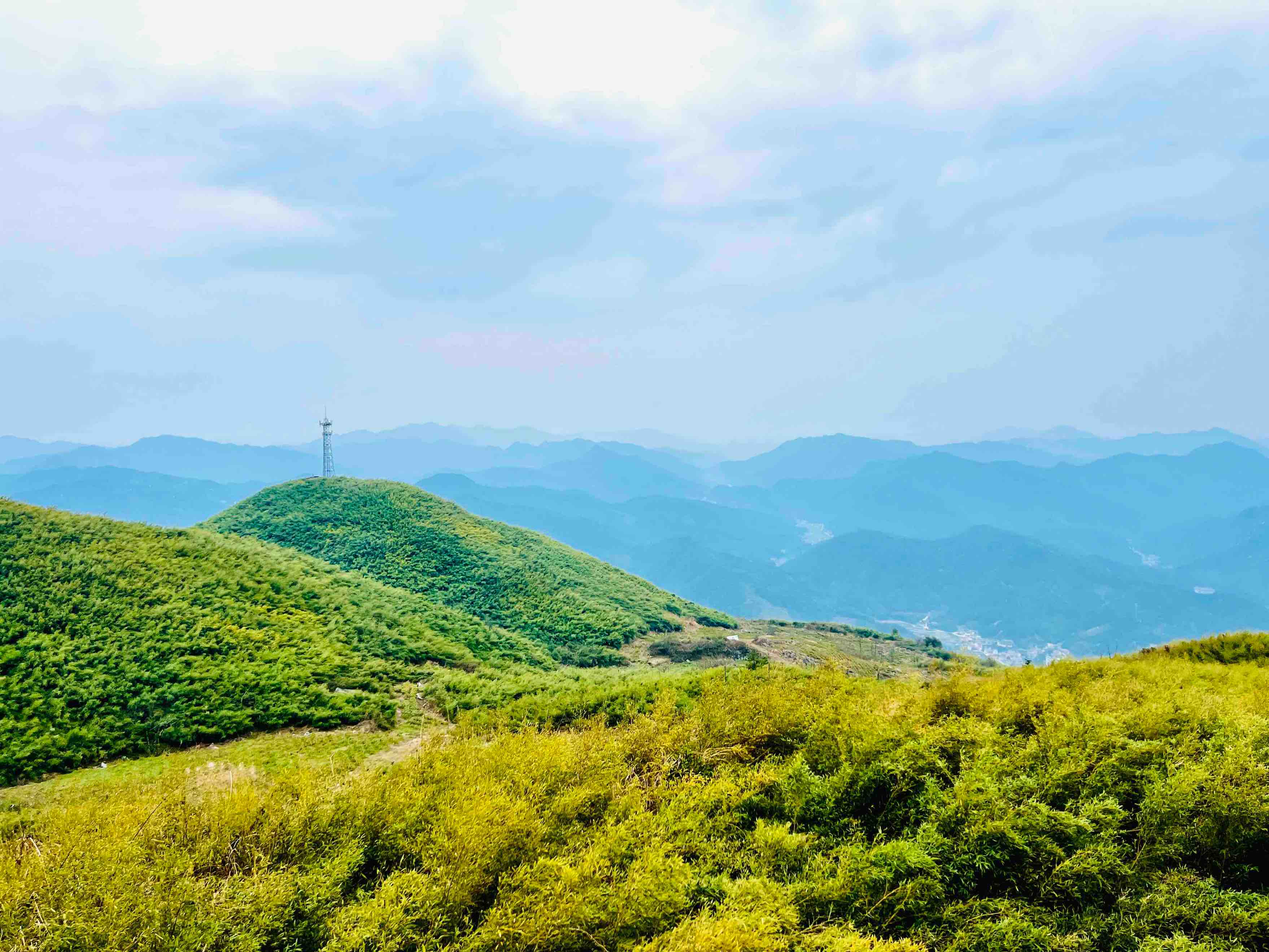 茶旅云台山 三月春光暖2