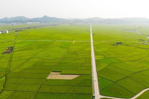 南宁周末应该怎么玩？这里的田园风光、岭南特色明清建筑值得拥有1