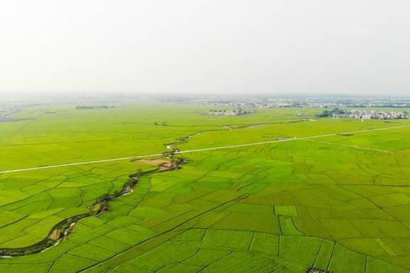 南宁周末应该怎么玩？这里的田园风光、岭南特色明清建筑值得拥有2