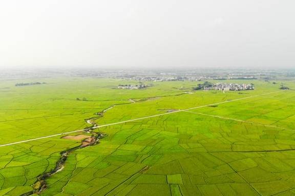 南宁周末应该怎么玩？这里的田园风光、岭南特色明清建筑值得拥有3