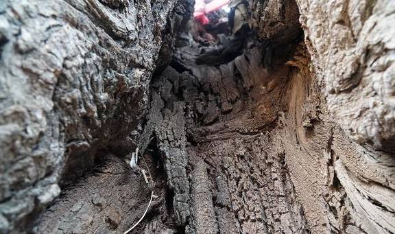 南宁周末应该怎么玩？这里的田园风光、岭南特色明清建筑值得拥有5