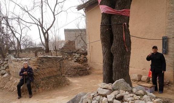 南宁周末应该怎么玩？这里的田园风光、岭南特色明清建筑值得拥有6