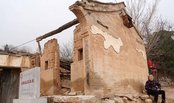 560年古树,树冠冒白烟喜鹊不搭窝,86岁老夫妻守护不离开8