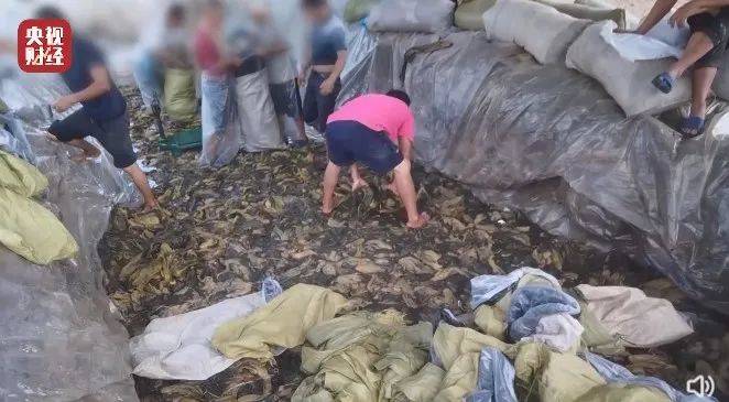 一个人到新疆自驾游,分享旅途故事和详细路线(五)1