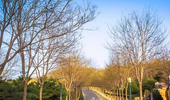 石家庄有一座在垃圾地基上建造的公园,风景如画,是春游的好去处6