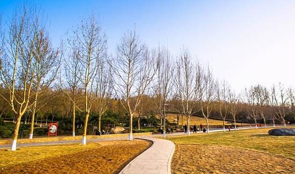 石家庄有一座在垃圾地基上建造的公园,风景如画,是春游的好去处8