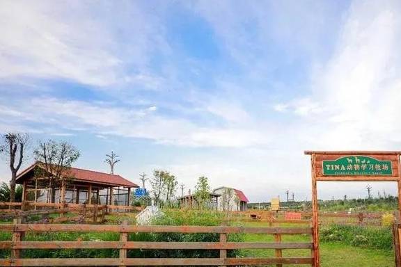 遛狗晒娃草坪婚礼露营好心动,盘点成都周边私藏宝藏公园10