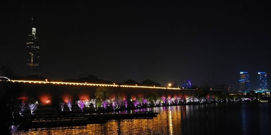 玄武湖樱花绽放的夜景美不胜收28