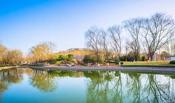 石家庄有一座在垃圾地基上建造的公园,风景如画,是春游的好去处2
