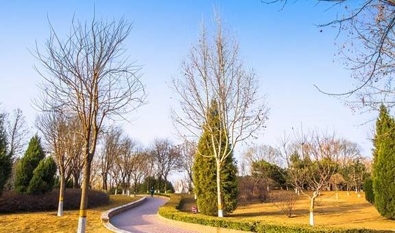 石家庄有一座在垃圾地基上建造的公园,风景如画,是春游的好去处4