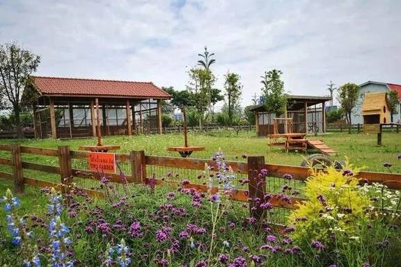 遛狗晒娃草坪婚礼露营好心动,盘点成都周边私藏宝藏公园8