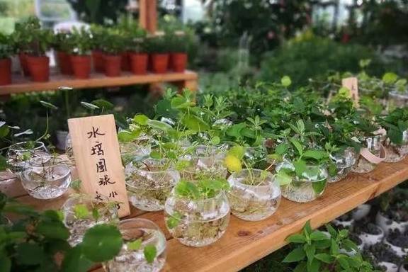 遛狗晒娃草坪婚礼露营好心动,盘点成都周边私藏宝藏公园14