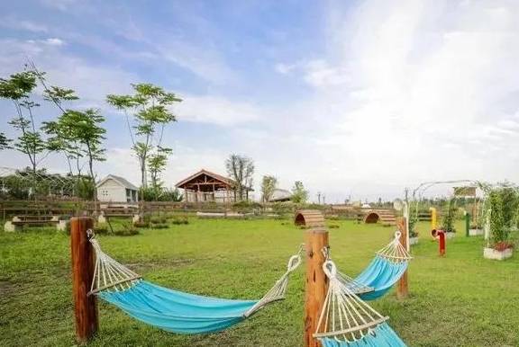 遛狗晒娃草坪婚礼露营好心动,盘点成都周边私藏宝藏公园20