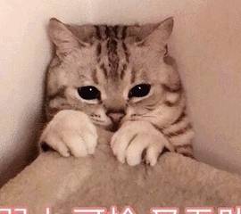 国内火车也有头等舱?看我多花了十倍价钱的包厢长啥样5