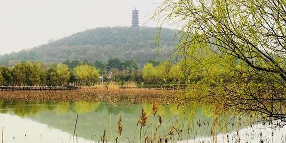 图说高淳慢城系列之八:有一种时尚生活叫在慢城慢居12