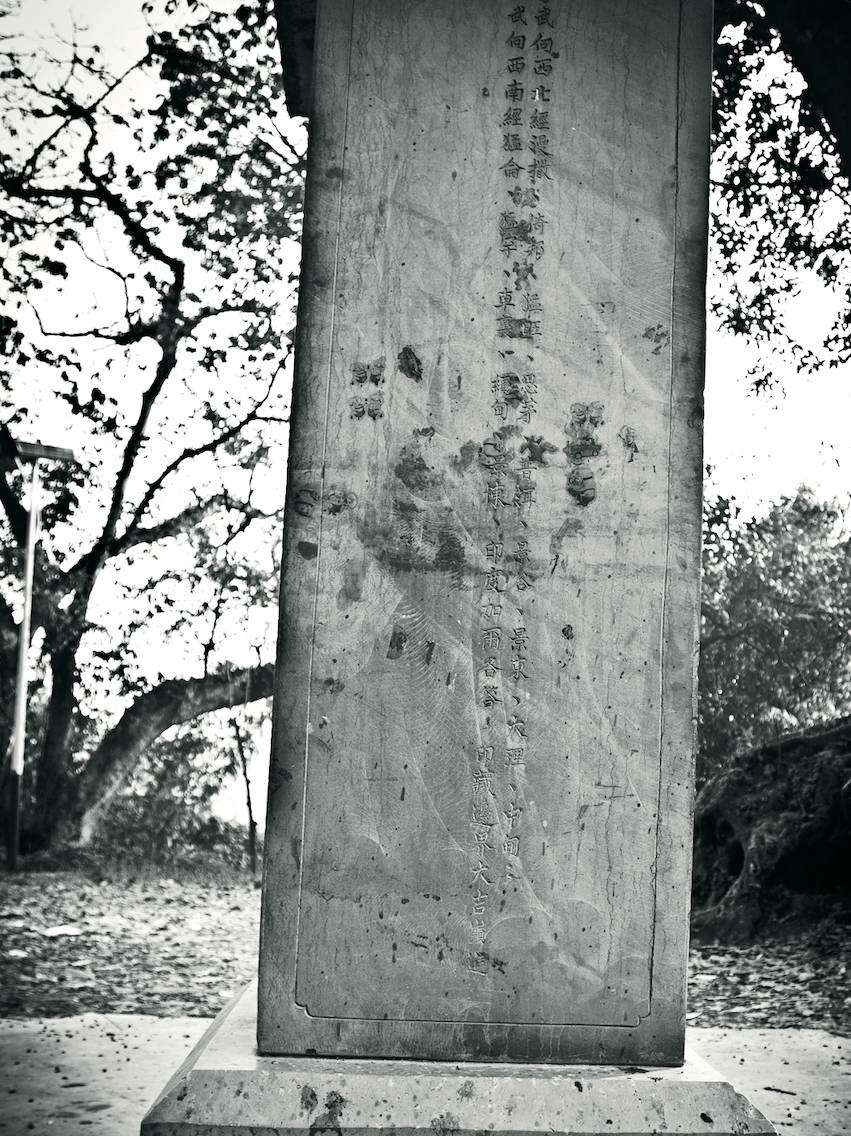 走进春天的茶山5