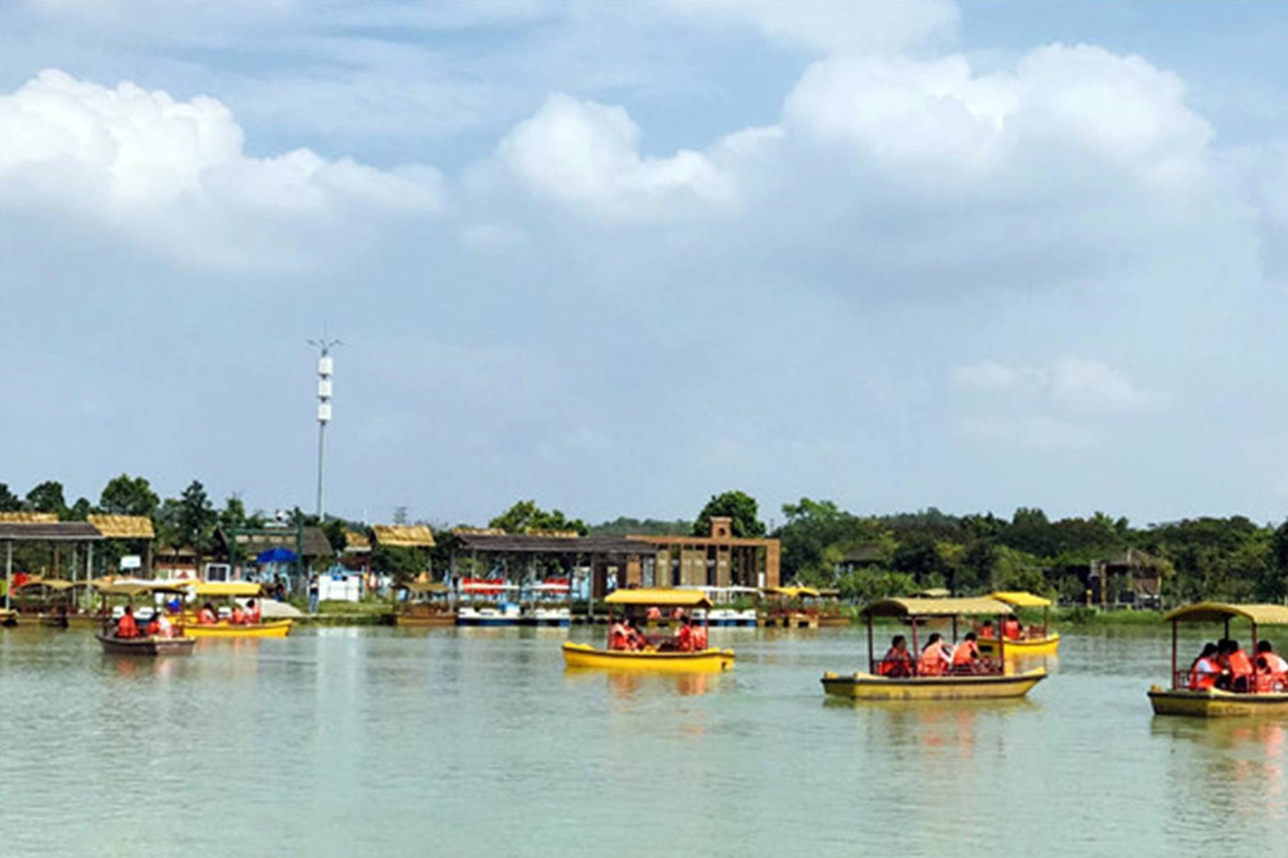 佛山桑园围文化遗产催生“春游热”,市民举家去桑园摘桑果1